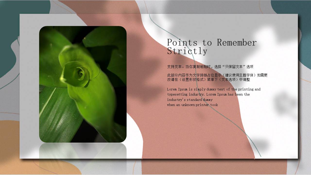 莫兰迪 (74).pptx
